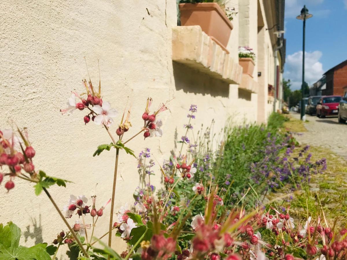 Klein Aber Fein In Der Altstadt Angermunde Esterno foto